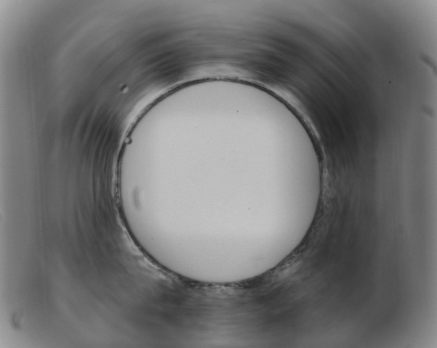 X0000103950815200809191209