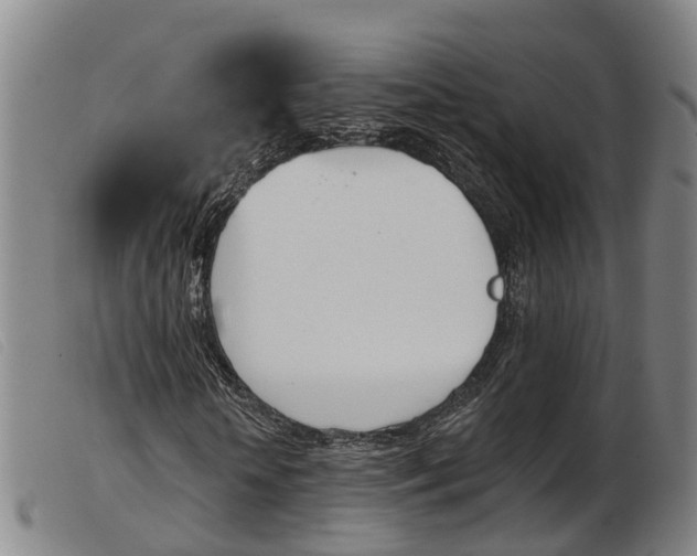 X0000103950818200809191209