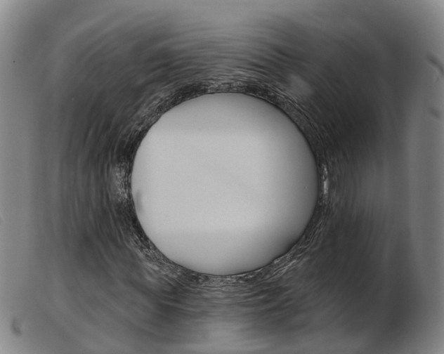 X0000103950819200809191209