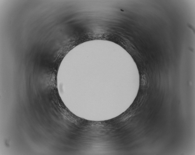 X0000103950820200809191209