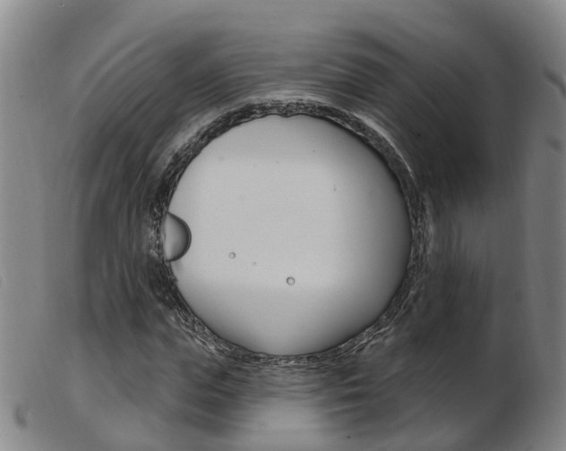X0000103950823200809191209