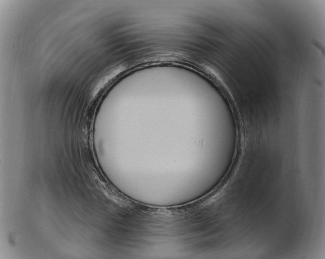 X0000103950827200809191209