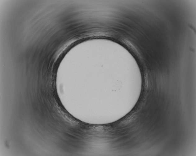 X0000103950828200809191209