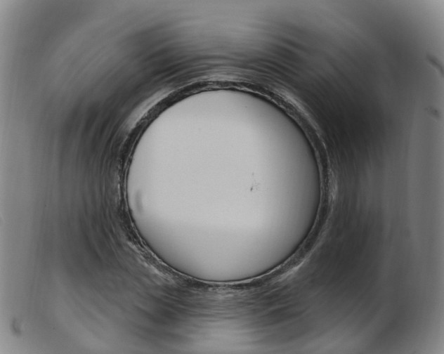 X0000103950829200809191209