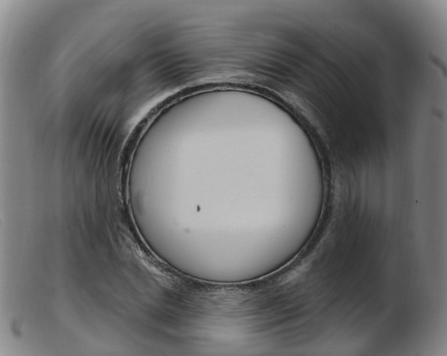 X0000103950830200809191209