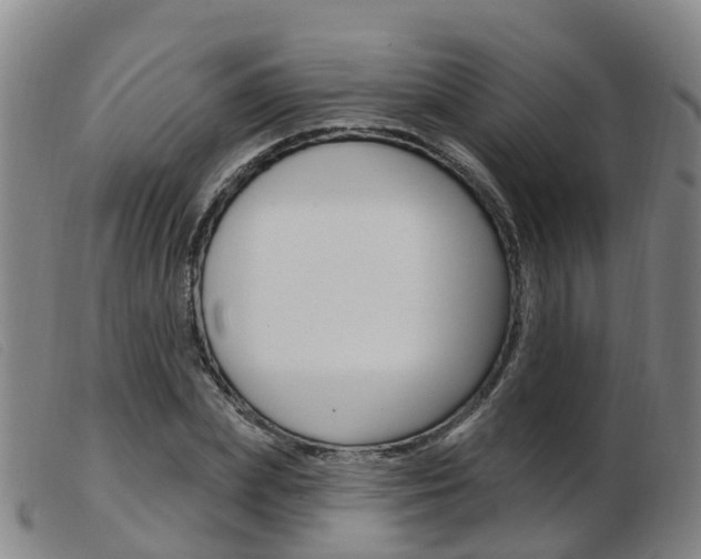 X0000103950831200809191209
