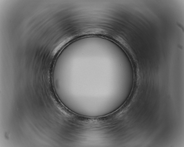 X0000103950834200809191209