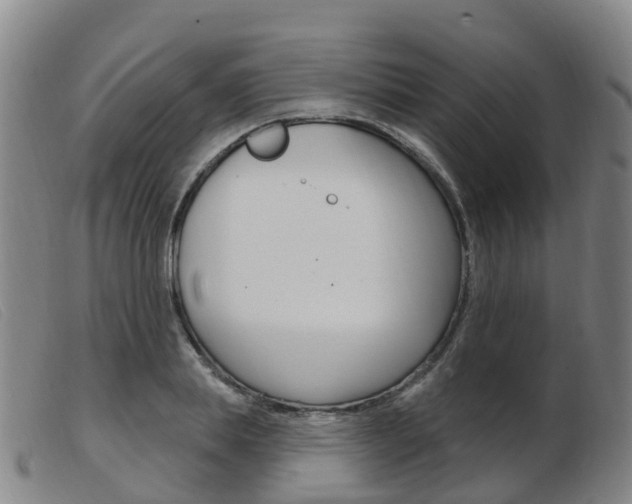X0000103950839200809191209