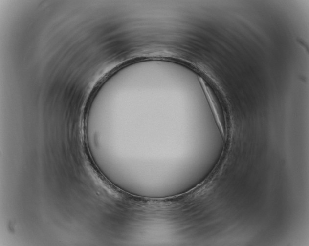 X0000103950840200809191209