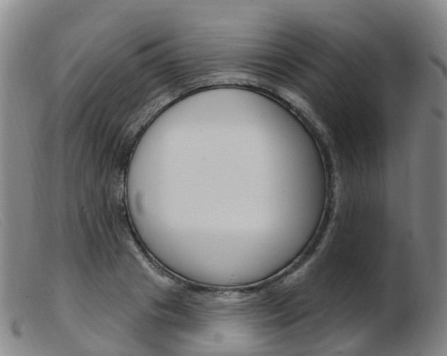 X0000103950841200809191209