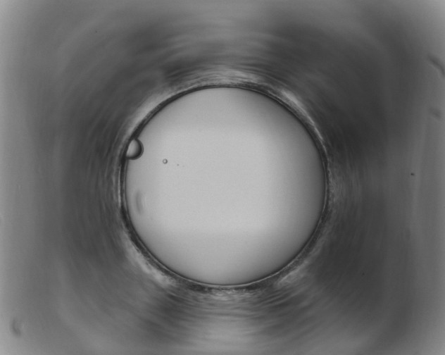 X0000103950843200809191209