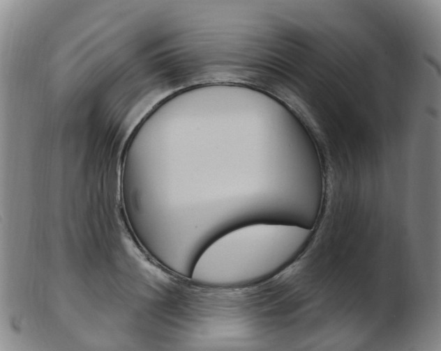 X0000103950844200809191209