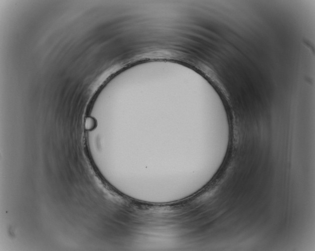 X0000103950845200809191209