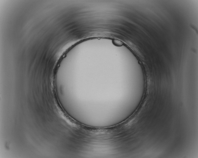 X0000103950846200809191209