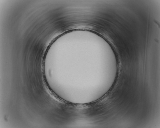 X0000103950848200809191209