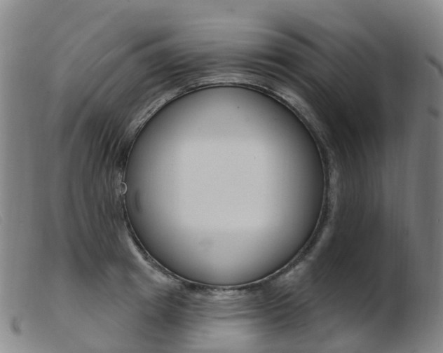 X0000103950849200809191209