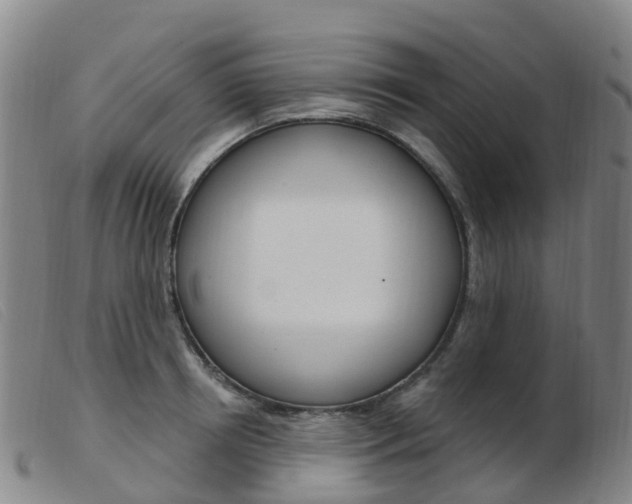 X0000103950850200809191209