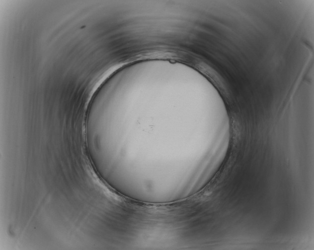 X0000103950852200809191209