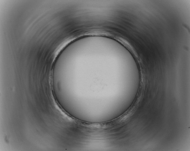 X0000103950855200809191209