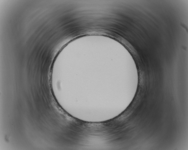 X0000103950856200809191209