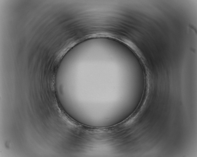 X0000103950857200809191209