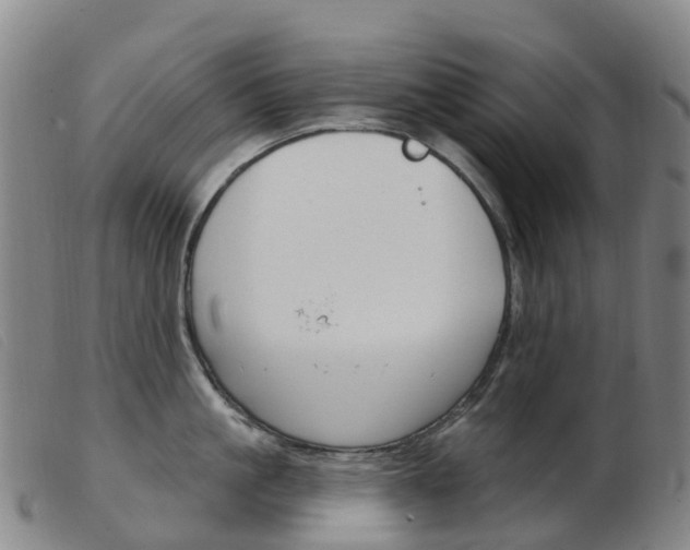 X0000103950861200809191209
