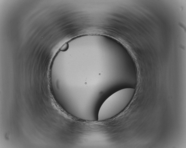 X0000103950864200809191209