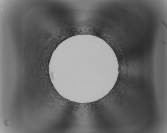 X0000103950865200809191209