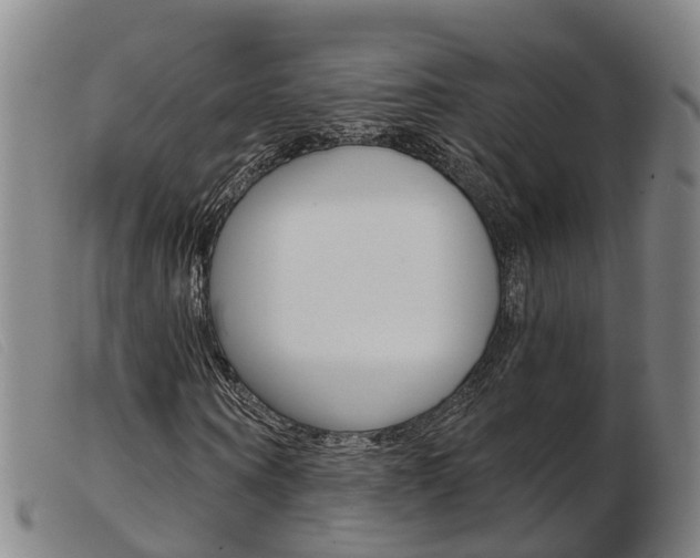 X0000103950866200809191209