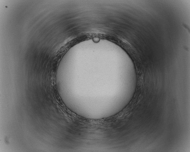 X0000103950870200809191208