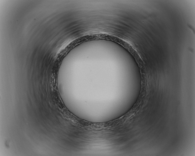X0000103950871200809191208