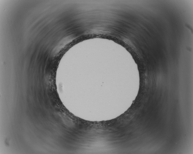 X0000103950872200809191208