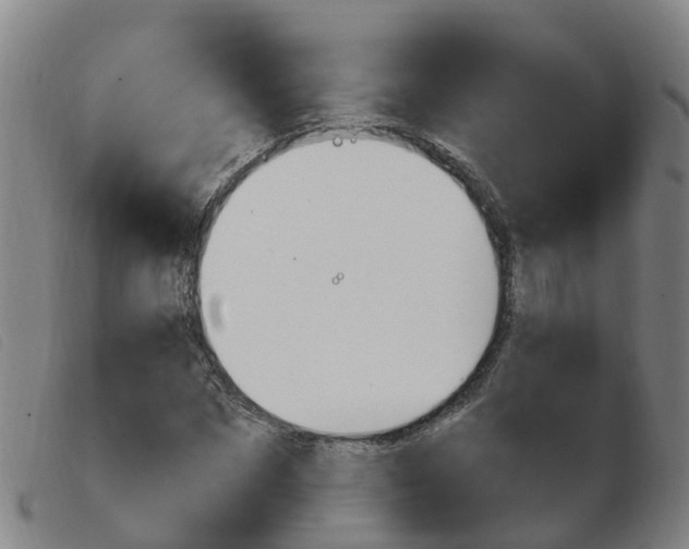 X0000103950873200809191208
