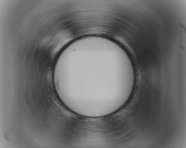 X0000103950874200809191208