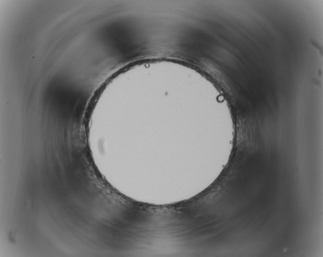X0000103950876200809191208