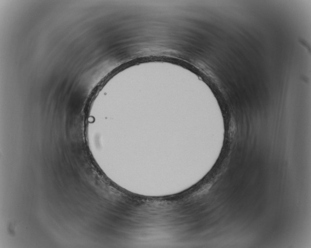 X0000103950877200809191208