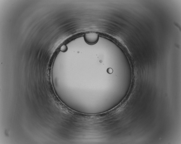 X0000103950879200809191208