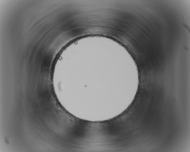 X0000103950880200809191208