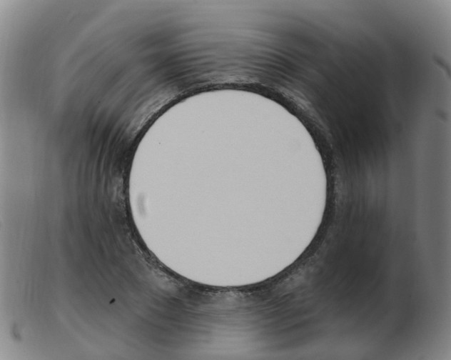 X0000103950881200809191208