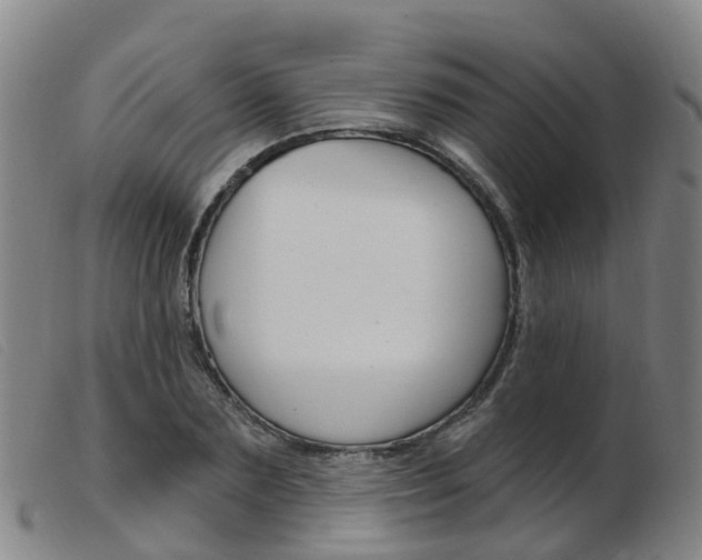 X0000103950883200809191208