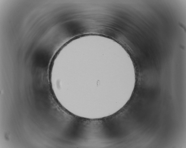 X0000103950884200809191208