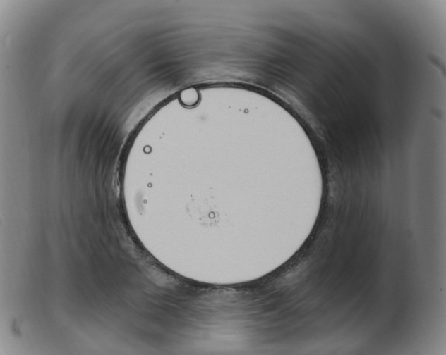 X0000103950885200809191208
