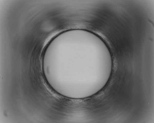 X0000103950886200809191208