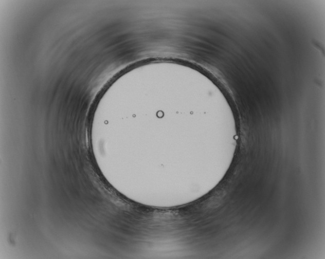 X0000103950887200809191208