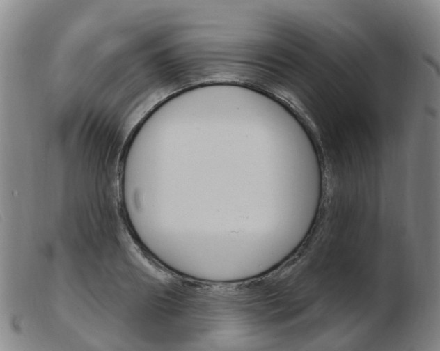 X0000103950890200809191208