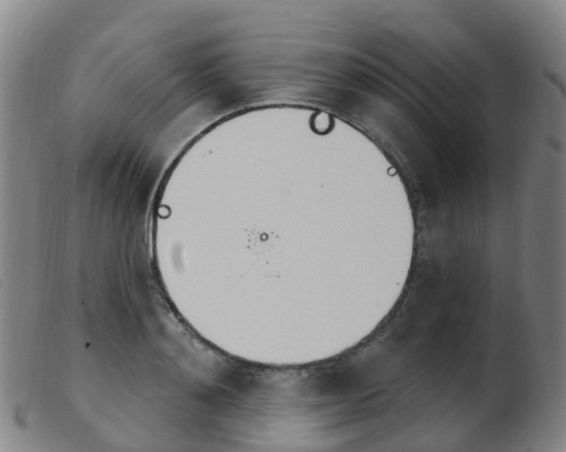 X0000103950892200809191208