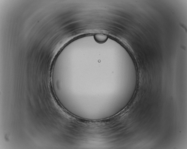 X0000103950895200809191208