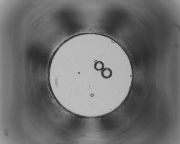 X0000103950896200809191208