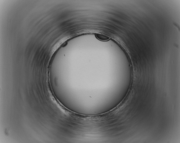 X0000103950898200809191208