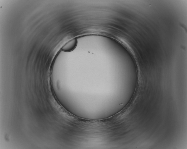X0000103950899200809191208